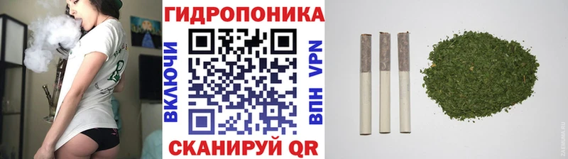 мега вход  Дивногорск  Бошки марихуана SATIVA & INDICA  как найти  